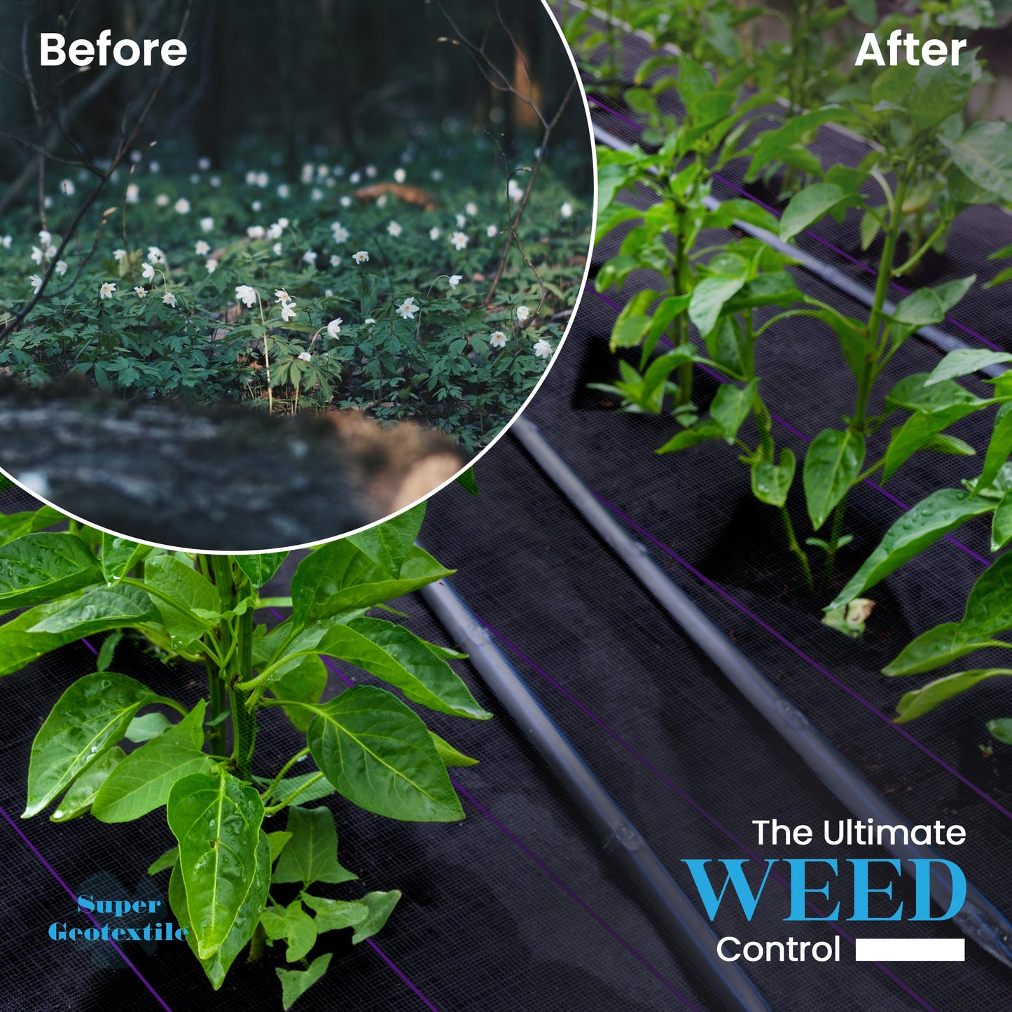 Pro Grade 5oz Weed Barrier - Heavy Duty Landscape Fabric - Weed Block - 25 Year Fabric - Tampa Home & Garden Store