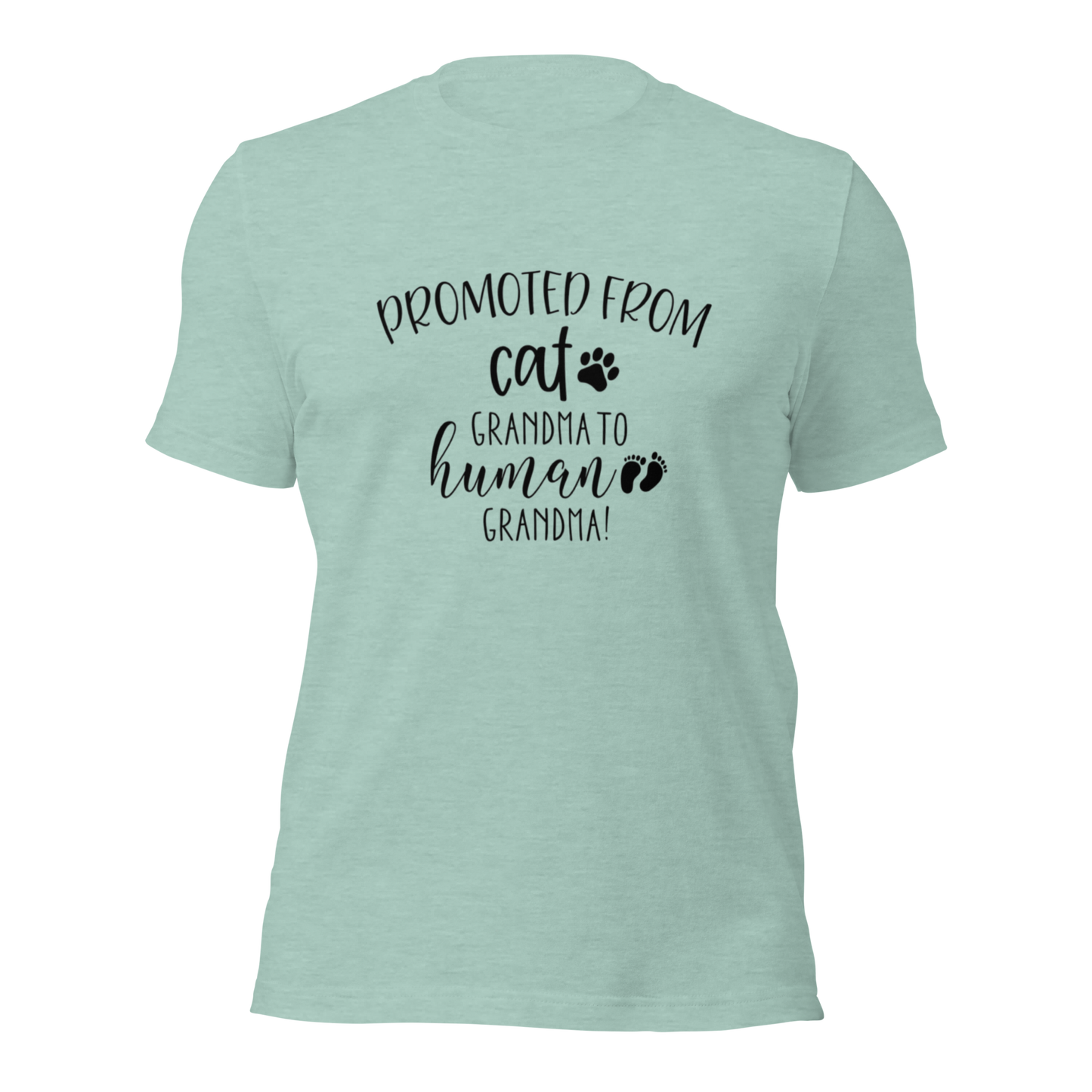 Promoted from Cat Grandma to Human Grandma T-Shirt - Tampa Home & Garden Store