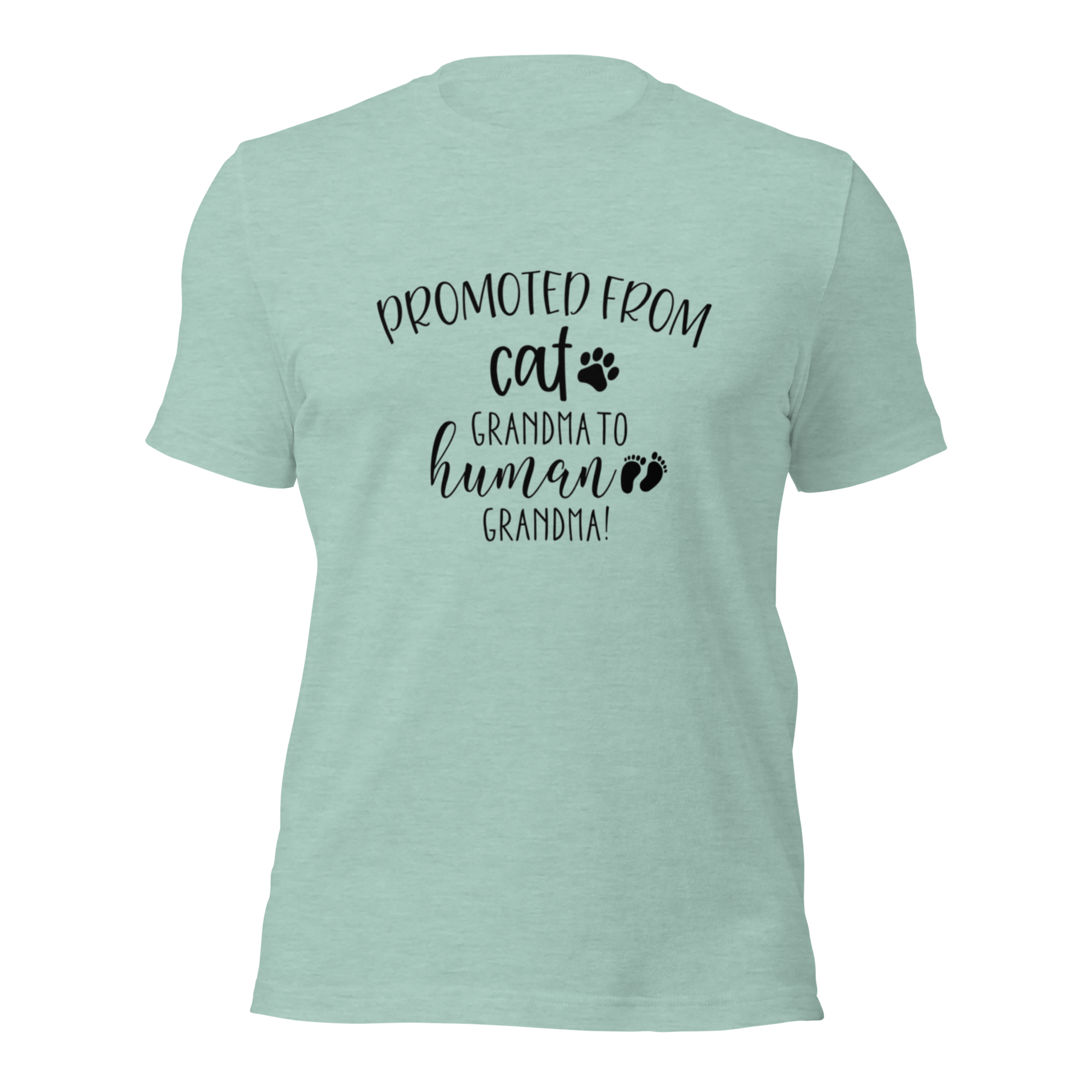Promoted from Cat Grandma to Human Grandma T-Shirt - Tampa Home & Garden Store
