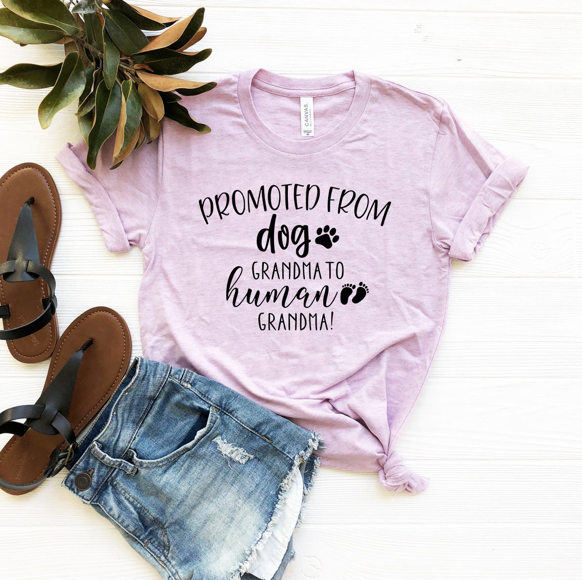 Promoted from Dog Grandma to Human Grandma T-Shirt - Tampa Home & Garden Store