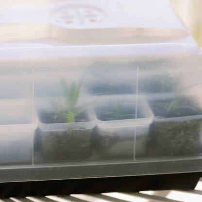 Propagation Kit | For Cuttings, Seedlings and More - Tampa Home & Garden Store