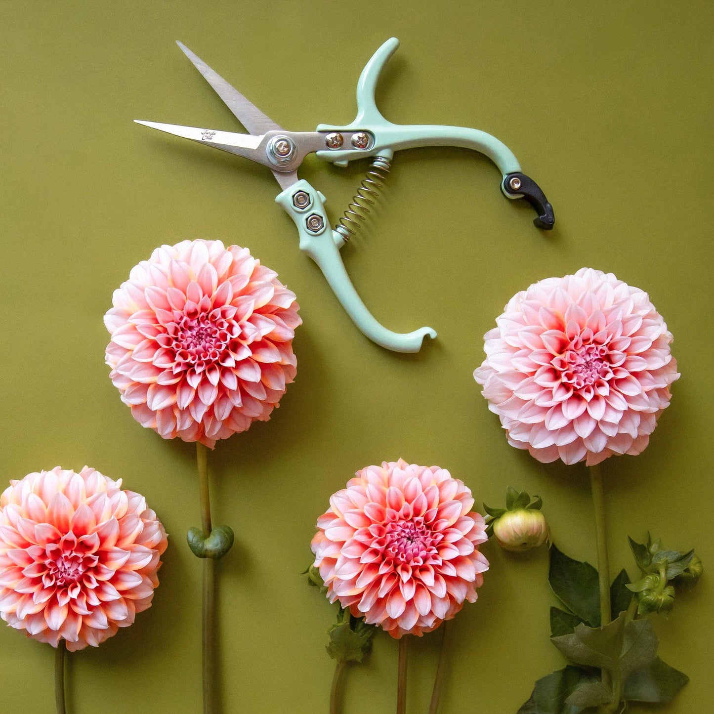 Pruning Shears | Lagoon - Tampa Home & Garden Store