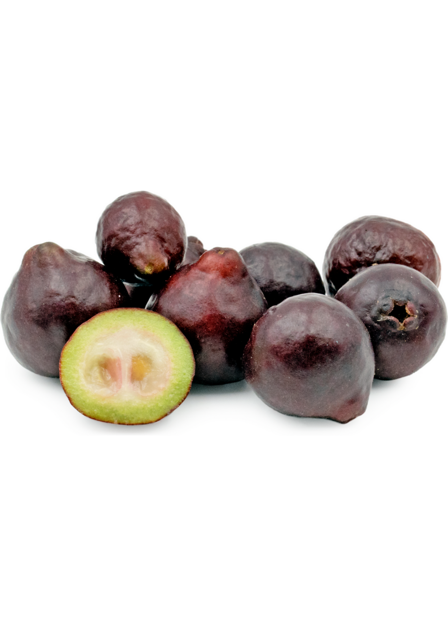 Purple Forest Guava Tree (Psidium eugeniaefolia)