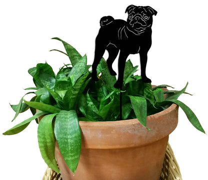 Pug plant stake black metal silhouette by Rustica Ornamentals in a terracotta pot on Tampa Home & Garden Store