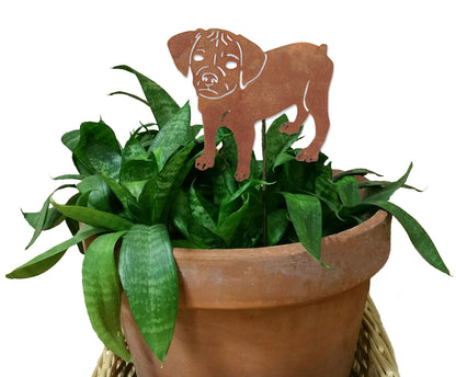 Puggle plant stake, rust-colored metal dog silhouette in clay pot, Rustica Ornamentals, on Tampa Home & Garden Store