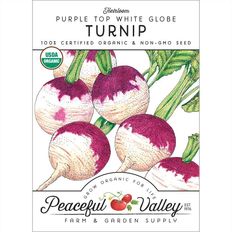 Purple Top White Globe Turnip Seeds (Organic) - Tampa Home & Garden Store