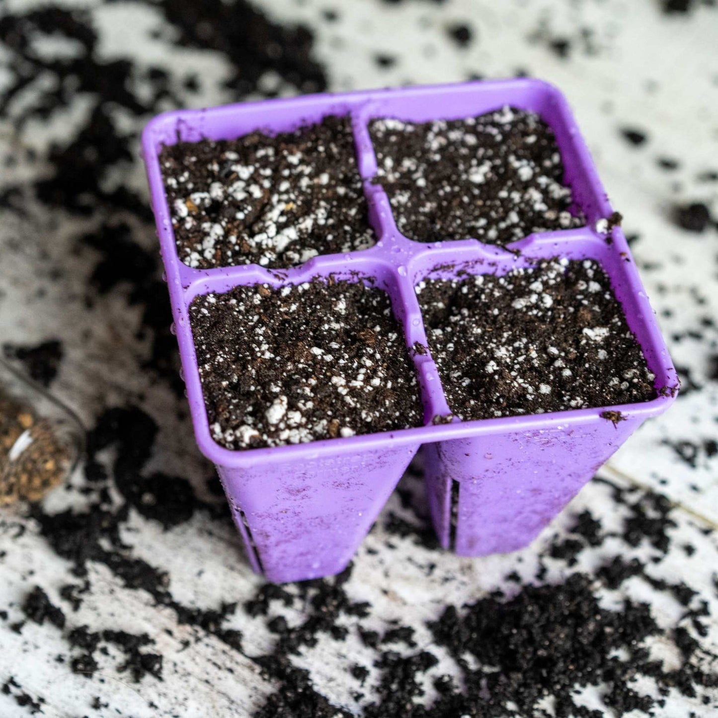 4 Cell Seed Tray Cell Plug Tray