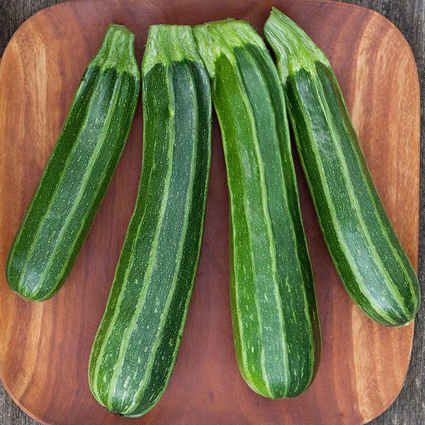 Cocozelle zucchini squash, four green striped zucchinis on a wooden board on Tampa Home & Garden Store