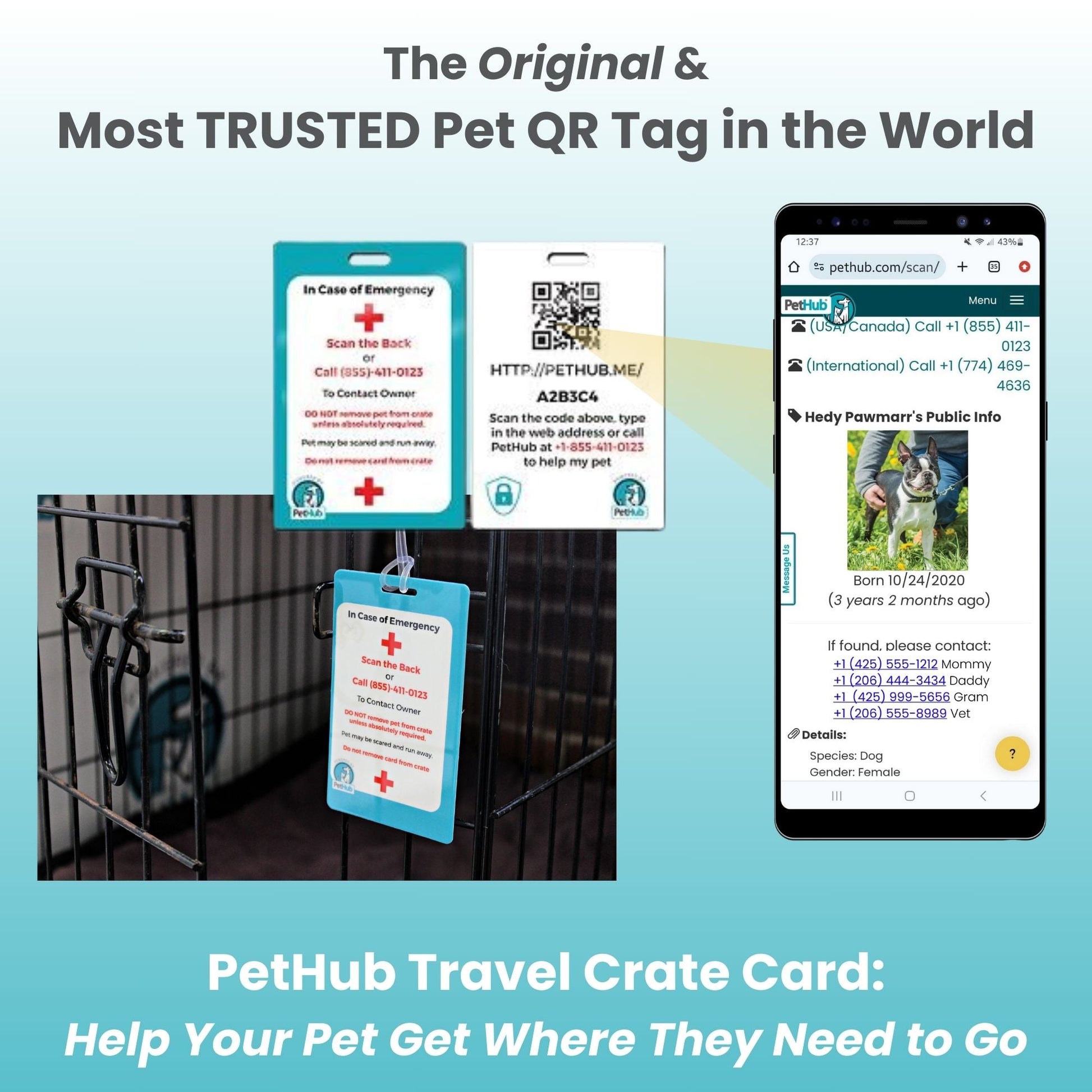 QR Pet Comprehensive Identification: Mini ReadyKit - Tampa Home & Garden Store