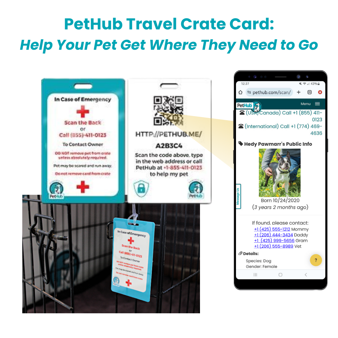 QR Pet Identification: Travel Crate Card - Tampa Home & Garden Store