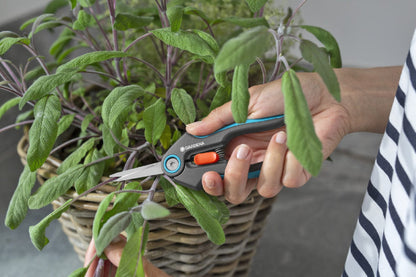 FreshCut Scissors by Gardena blue-handled pruning tool trimming sage in a basket on Tampa Home & Garden Store