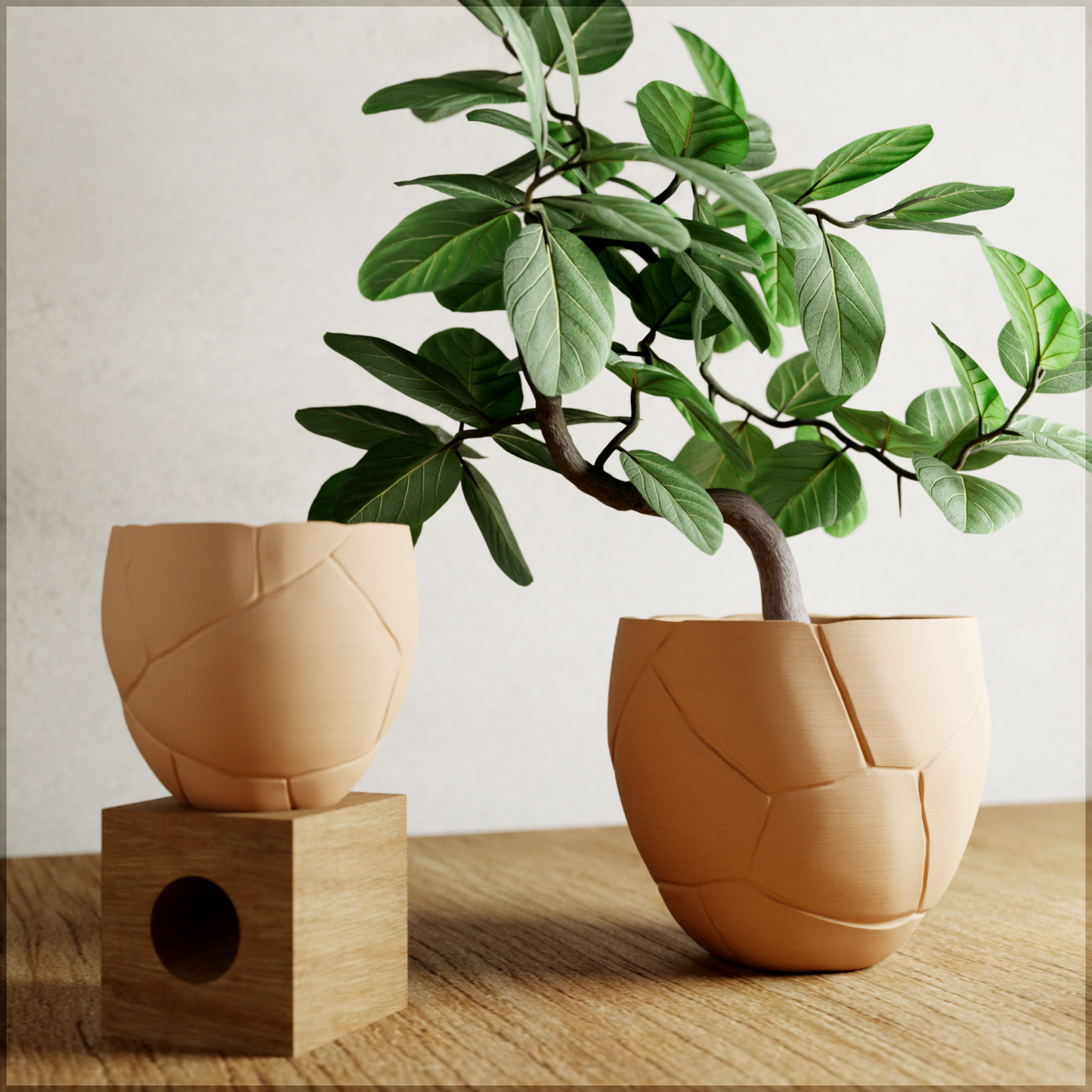 QUAKE Planter - Tampa Home & Garden Store