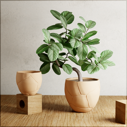 QUAKE Planter - Tampa Home & Garden Store