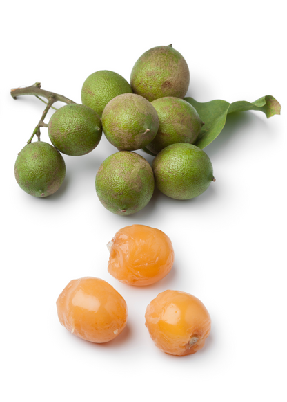 Spanish Lime Tree, Quenepa (Melicoccus bijugatus)