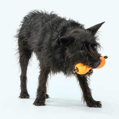 Qwizl Treat Toy for Dogs and Tough Chew Puzzle