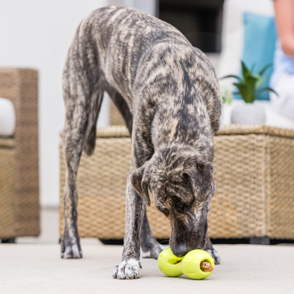 Qwizl Treat Toy for Dogs and Tough Chew Puzzle
