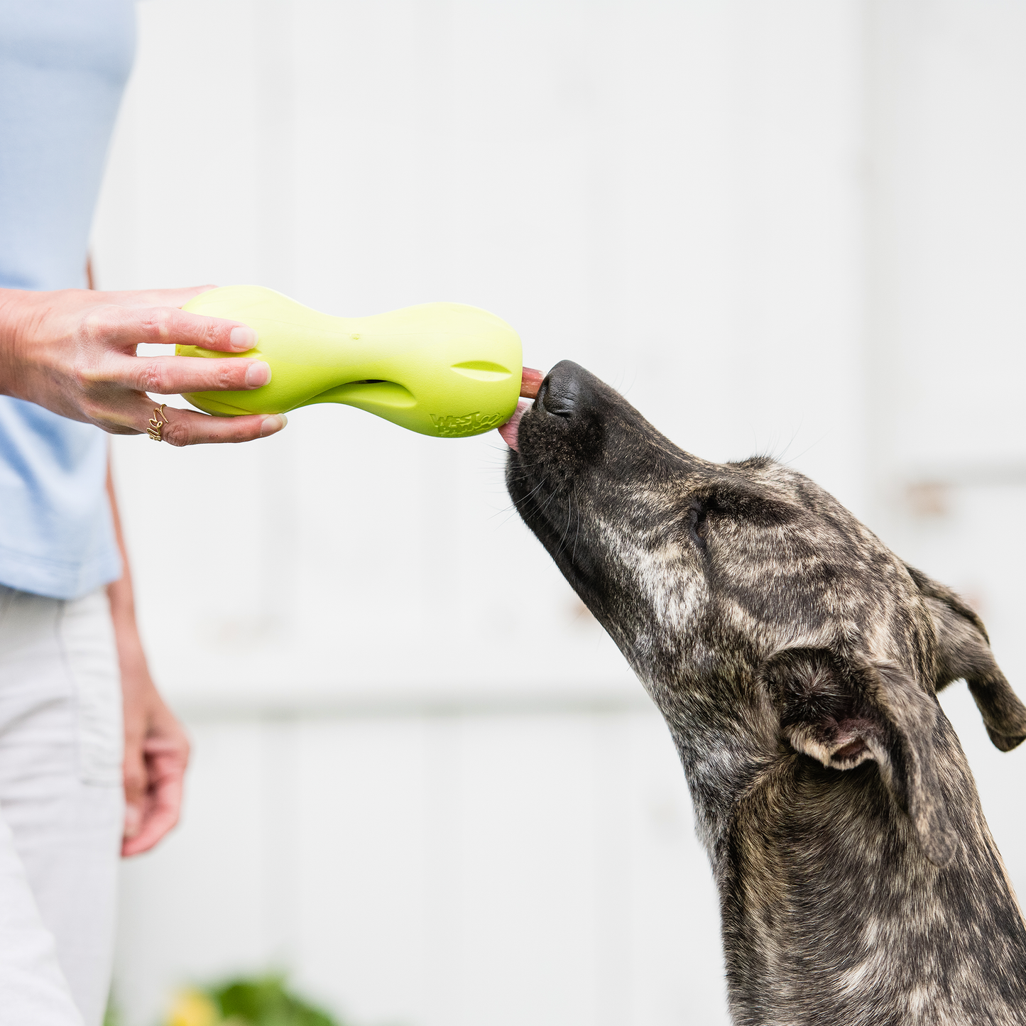 Qwizl Treat Toy for Dogs and Tough Chew Puzzle
