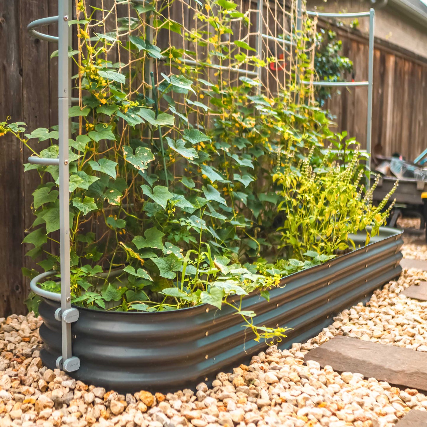Wall Trellis System