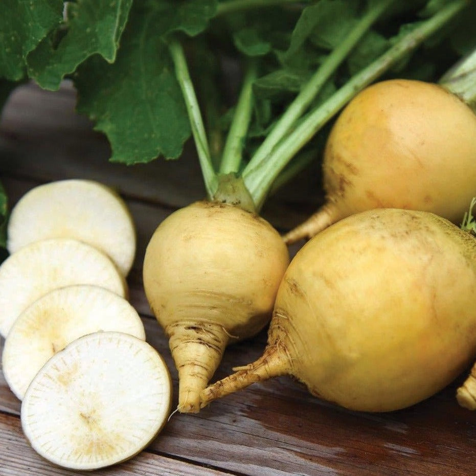 Golden Ball turnips with green tops and yellow round roots, sliced rounds on a wood surface on Tampa Home & Garden Store