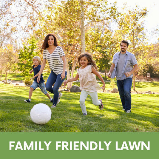 Ruff and Tuff Grass Seed by Flawn Seed Kits, seeds & seed tape, family-friendly lawn on Tampa Home & Garden Store