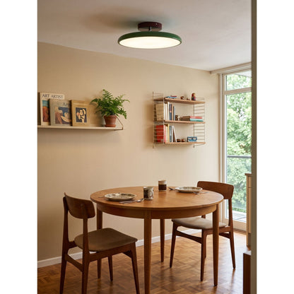 Orbitra flush-mount LED ceiling light with swivel arm, dimmable, green-beige fixture on Tampa Home & Garden Store