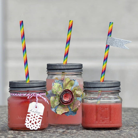 Rainbow Paper Straws for Wedding Party Summmer Party Beach Cocktail Baby Shower Biodegradable Drinking Straws Box of 100 - Tampa Home & Garden Store