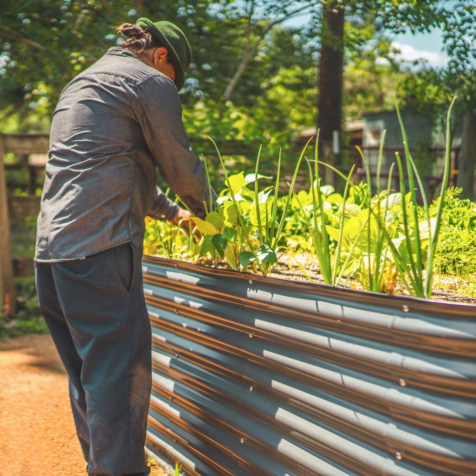 32" Tall Midsize Raised Garden Bed Kit 6 in 1 Modular Metal - Tampa soil911.com