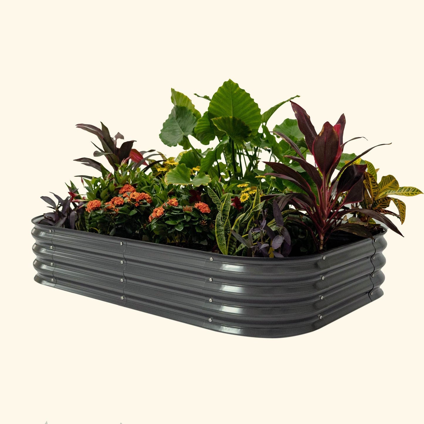 11" High Raised Garden Bed Kit Medium 6 in 1 Modular Metal - Tampa soil911.com