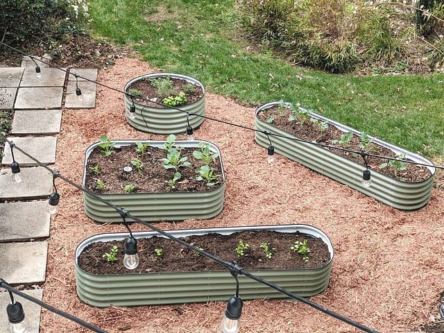 Raised Garden Bed Installation, Assembly, Irrigation - Tampa soil911.com