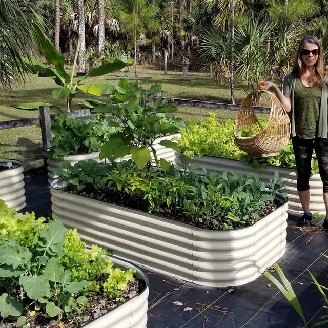 Raised Garden Bed Installation, Assembly, Irrigation - Tampa soil911.com