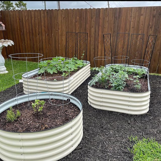 Raised Garden Bed Installation, Assembly, Irrigation - Tampa soil911.com