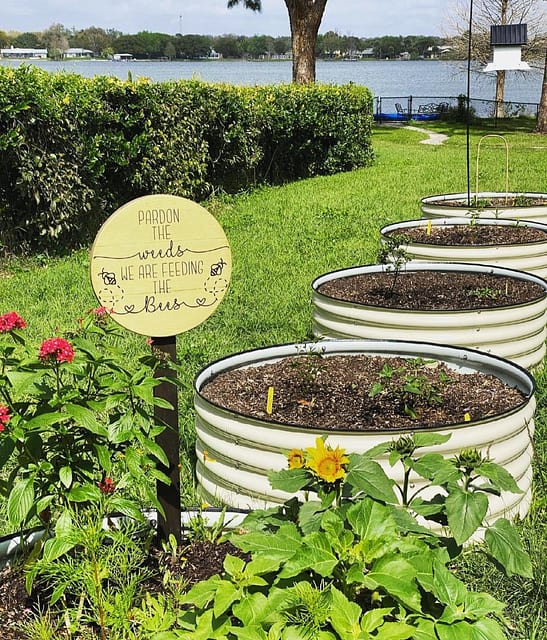 Raised Garden Bed Installation, Assembly, Irrigation - Tampa soil911.com