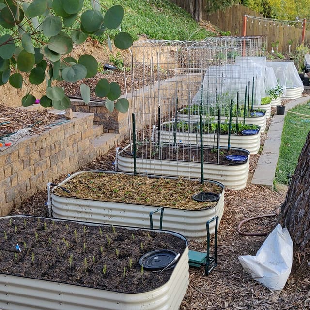 Raised Garden Bed Installation, Assembly, Irrigation - Tampa soil911.com