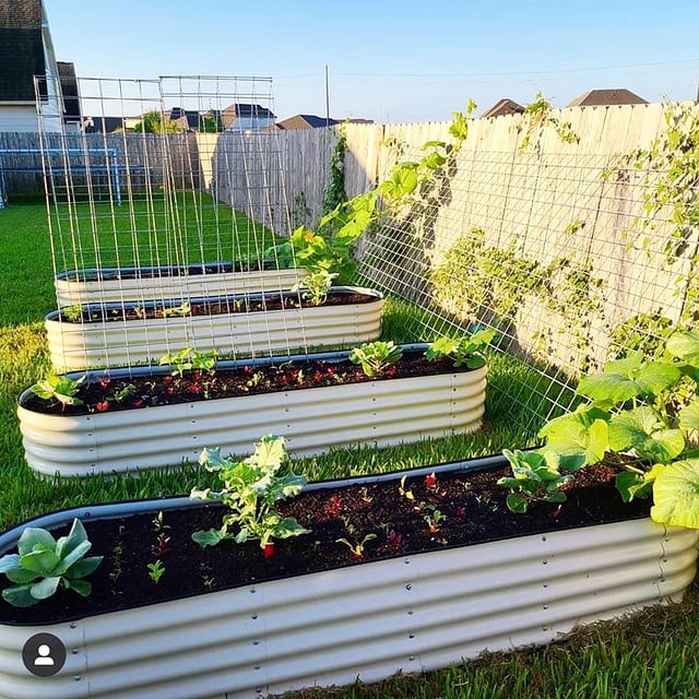 Raised Garden Bed Installation, Assembly, Irrigation - Tampa soil911.com