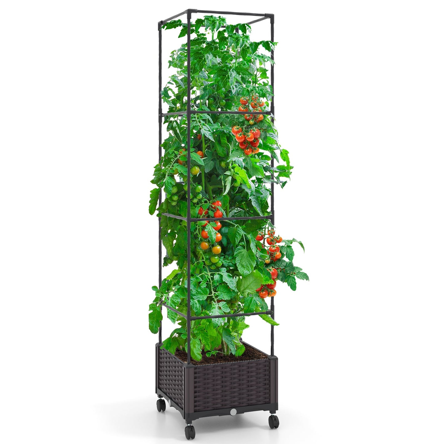 Arriate de jardín elevado de 170 cm con jardinera y enrejado