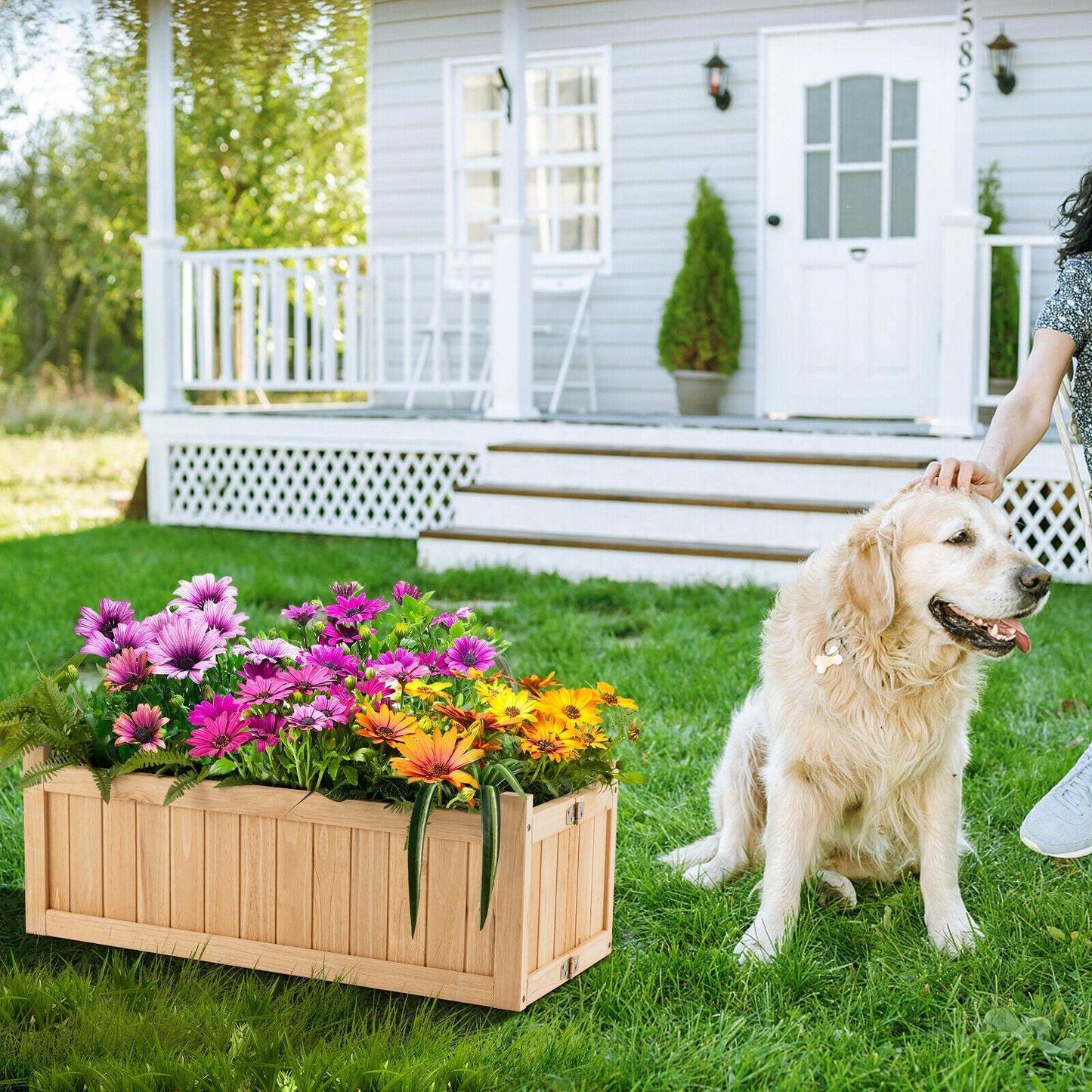 Jardinera elevada plegable de madera con fondo extraíble para hierbas, frutas y flores
