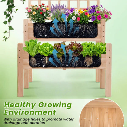 Two Tier Raised Garden Bed With Trellis Climbers