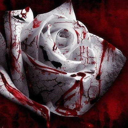 Rare White Blood Rose Plant Flower Seeds Flower Garden Asaka Rare True Blood Rose - Tampa Home & Garden Store