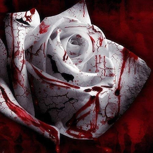 Rare White Blood Rose Plant Flower Seeds Flower Garden Asaka Rare True Blood Rose - Tampa Home & Garden Store
