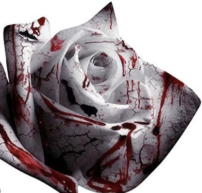 Rare White Blood Rose Plant Flower Seeds Flower Garden Asaka Rare True Blood Rose - Tampa Home & Garden Store
