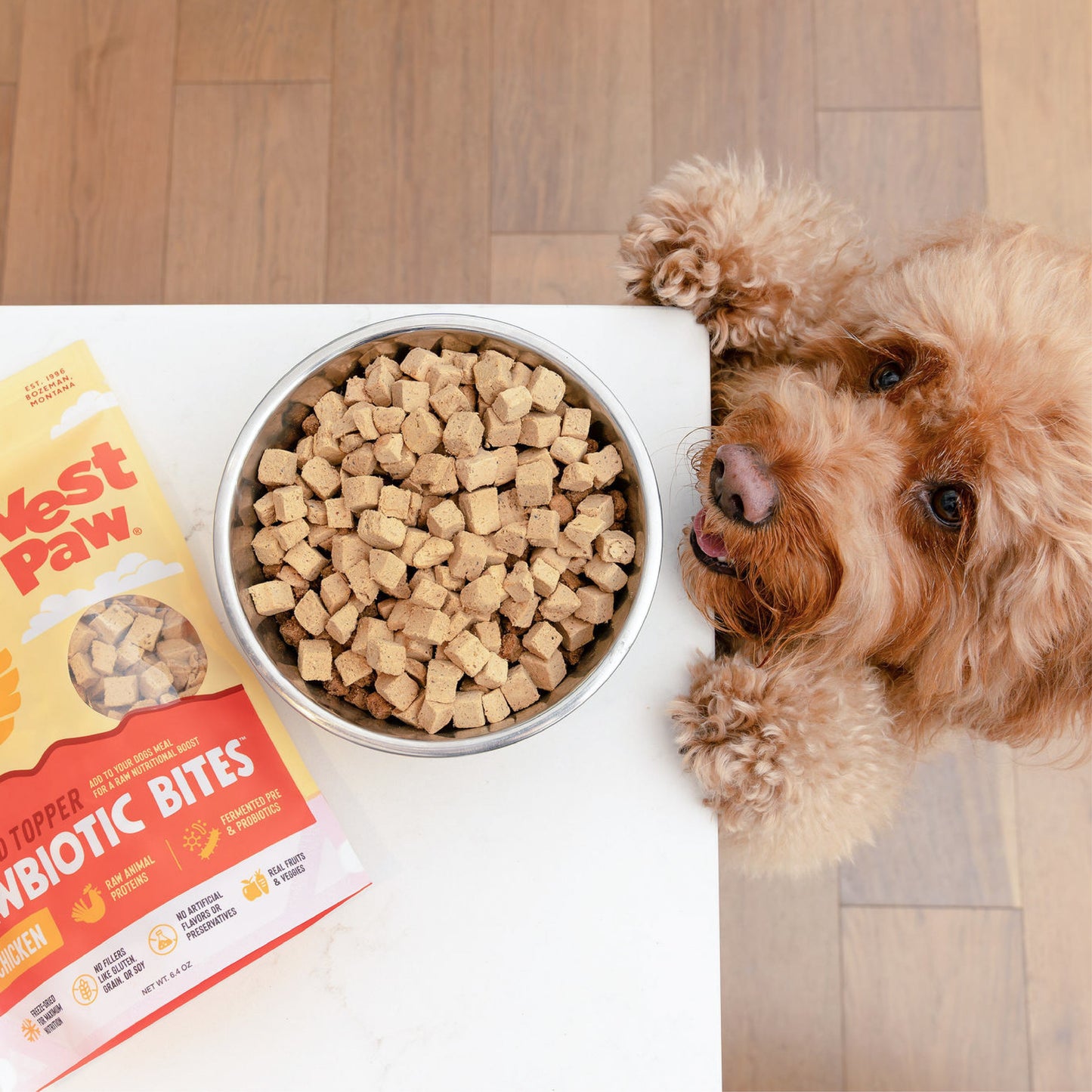 Chicken Dog Food Topper With Probiotics Boost