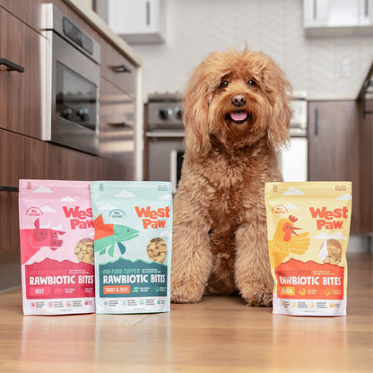 Beef Dog Food Topper with Probiotics and Veggies