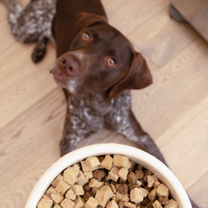 Protein Rich Trout and Beef Dog Food Topper