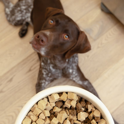 Chicken Dog Food Topper With Probiotics Boost