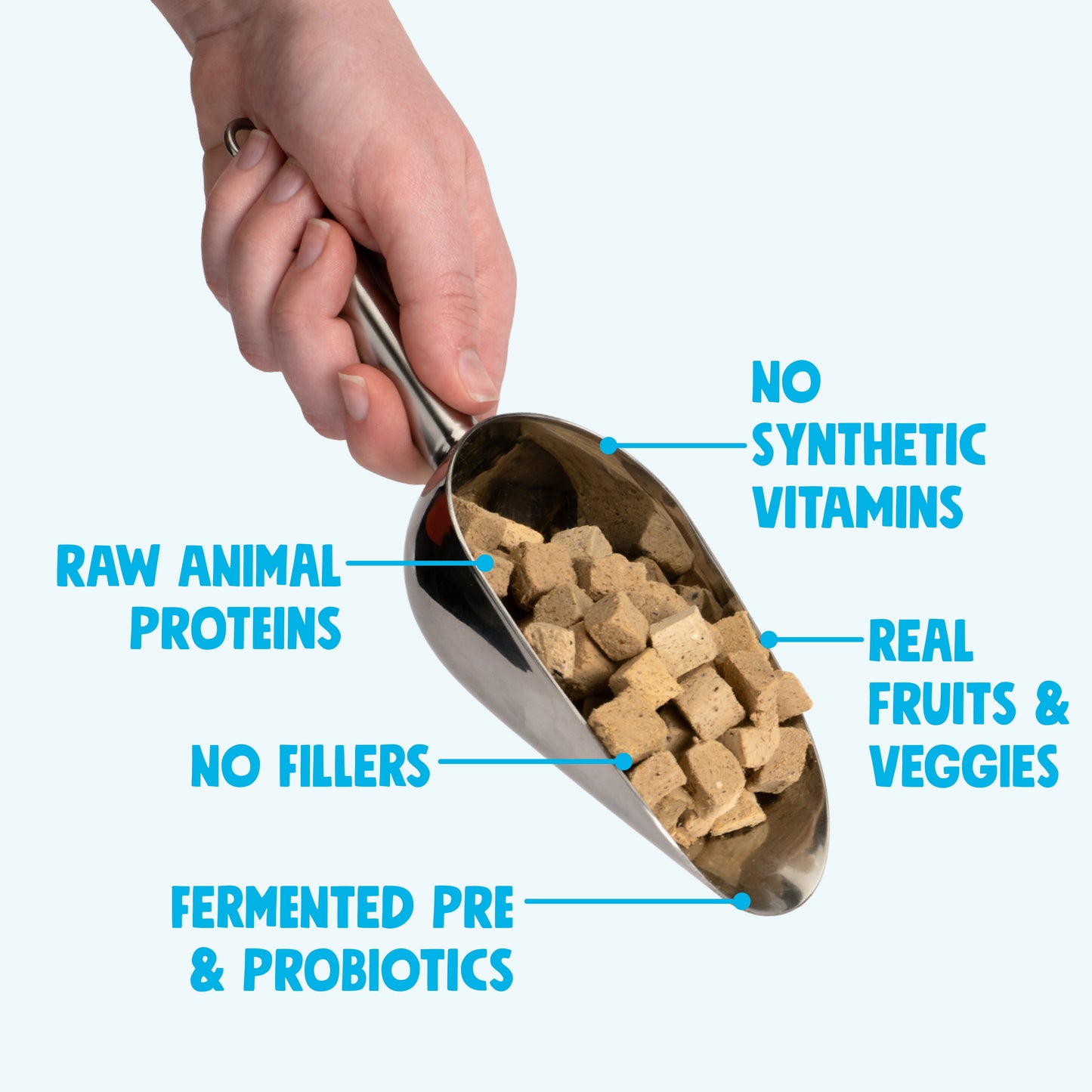 Protein Rich Trout and Beef Dog Food Topper