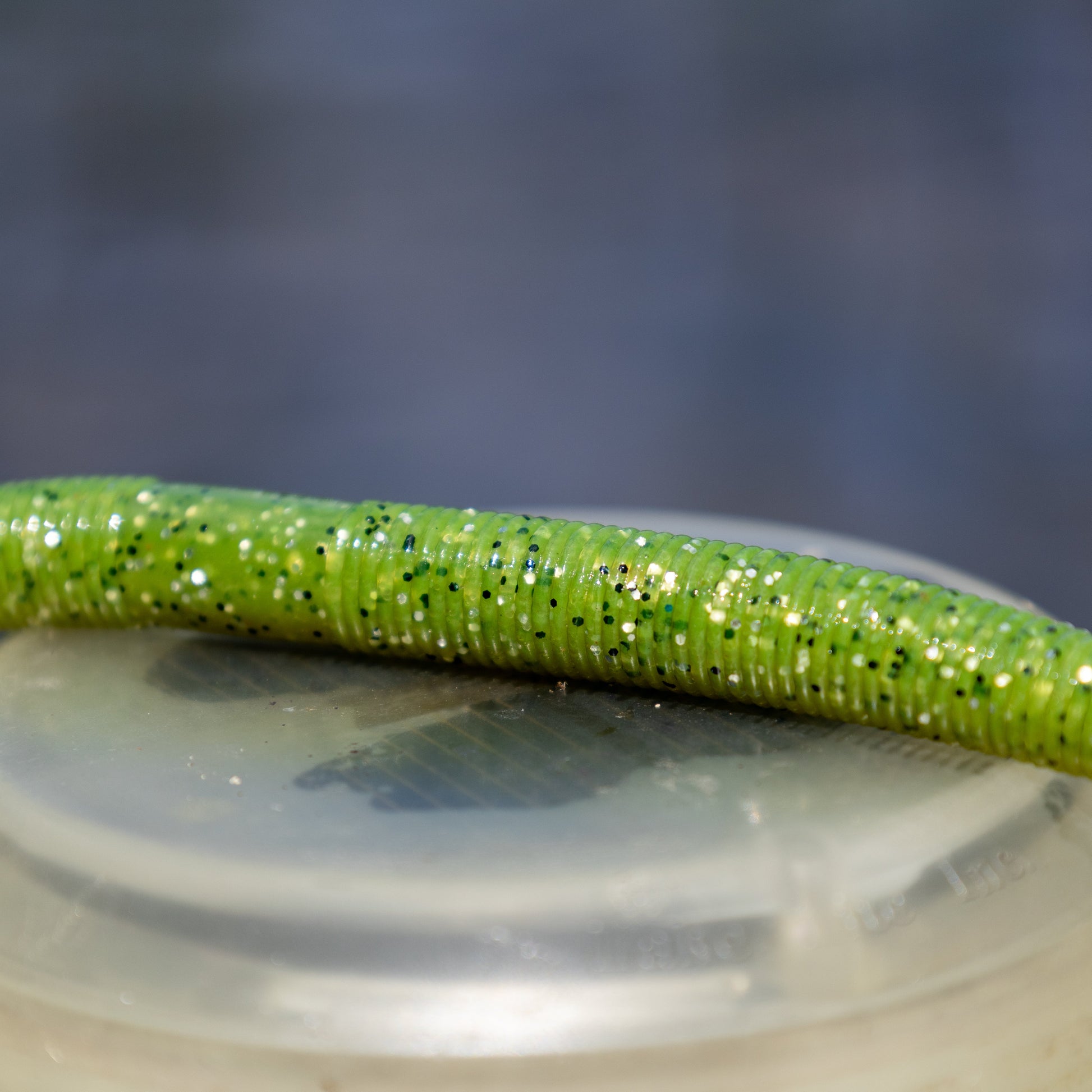 Reaction Tackle Soft Plastic Wacky Worms 5.5in - 24 Pack - Tampa Home & Garden Store