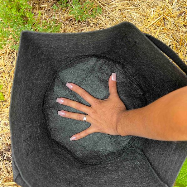 Ready-to-Go Ecosystem with Esienia fiteda composting worms - Tampa Home & Garden Store
