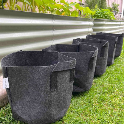 Ready-to-Go Ecosystem with Esienia fiteda composting worms - Tampa Home & Garden Store