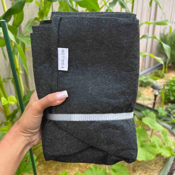 Ready-to-Go Ecosystem with Esienia fiteda composting worms - Tampa Home & Garden Store