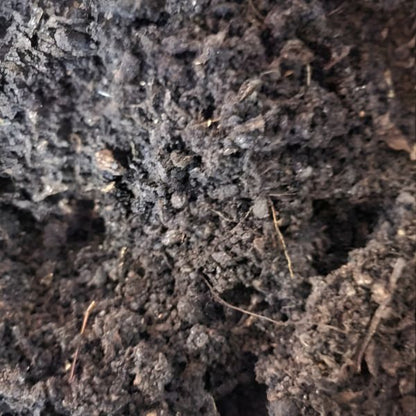 Ready-to-Go Ecosystem with Esienia fiteda composting worms - Tampa Home & Garden Store